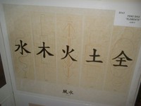 Aufnahmeort: Leipzig Aufnahmedatum: 2008-01-17 Die 5 Elemente