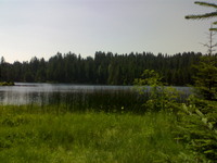 L`Etang de la Gruère (Moorteich de la Gruère)