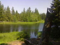 L`Etang de la Gruère (Moorteich de la Gruère)