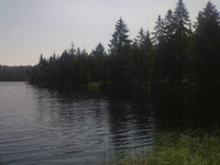 L`Etang de la Gruère (Moorteich de la Gruère)