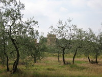 La campagna toscana