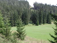 Aufnahmedatum: 2005-08-12 ©Alessandra Erlaufklause