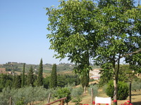 Vista sulla campagna