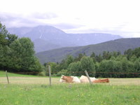 Vicino alla montagna Schneeberg