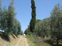 Campagna della Toscana