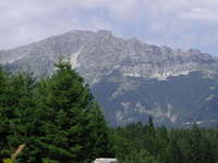 Aufnahmedatum: 2005-08-12 ©Alessandra Ötscher (Bassa Austria)