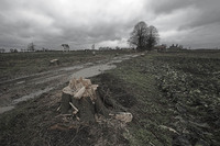 Aufnahmedatum: 2007-01-24 Bild