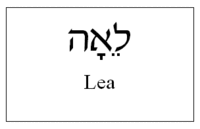 Lea