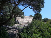 Aufnahmeort: Sardegna Aufnahmedatum: 2010-04-29 ©mars Bild