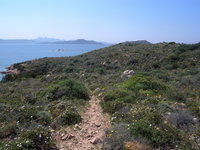 Aufnahmeort: Sardegna Aufnahmedatum: 2010-04-29 ©mars Caprera