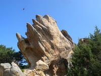 Aufnahmeort: Sardegna Aufnahmedatum: 2010-04-26 ©mars Bild