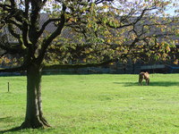 Aufnahmeort: Basel Aufnahmedatum: 2007-09-25 ©by Karolina M. Bild