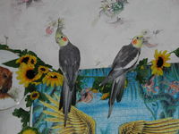 Aufnahmedatum: 2004-08-07 ©Alessandra Tiko & Rocco