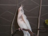 Aufnahmedatum: 2007-01-09 Julie