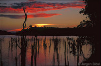 Aufnahmedatum: 2008-01-21 Bild