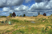 Aufnahmedatum: 2009-01-04 Bild