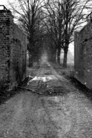 Aufnahmedatum: 2009-01-04 Bild