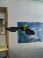 Aufnahmedatum: 2009-07-29 Einen Vogel habe ich auch... und er darf ab und zu auch fliegen...