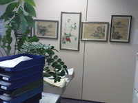 Aufnahmeort: Metzingen Aufnahmedatum: 2009-07-23 Etwas Privates