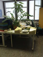 Aufnahmeort: Metzingen Aufnahmedatum: 2009-07-23 Mein Büro